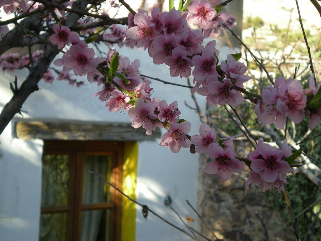 Casa Curtos Lägenhet Catorce Rum bild